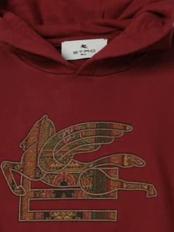 Felpa con cappuccio Etro in cotone con logo