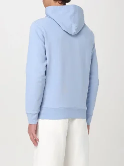 Felpa Polo Ralph Lauren in cotone