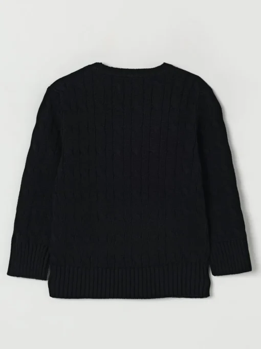Pullover Polo Ralph Lauren in cotone tricot