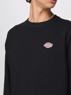 Felpa a girocollo con mini logo Dickies