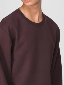 Felpa basic Saint Laurent in cotone