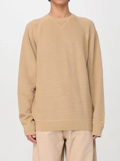 Felpa Carhartt Wip in cotone