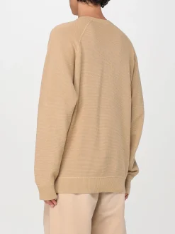 Felpa Carhartt Wip in cotone