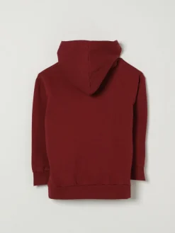 Felpa con cappuccio Etro in cotone con logo