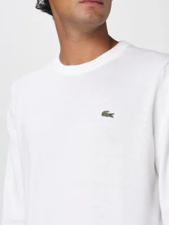 Maglia a girocollo con mini logo Lacoste in cotone